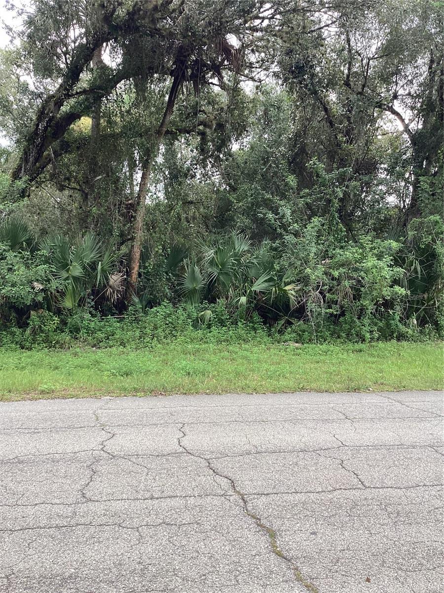 March Ln Property Photo 1