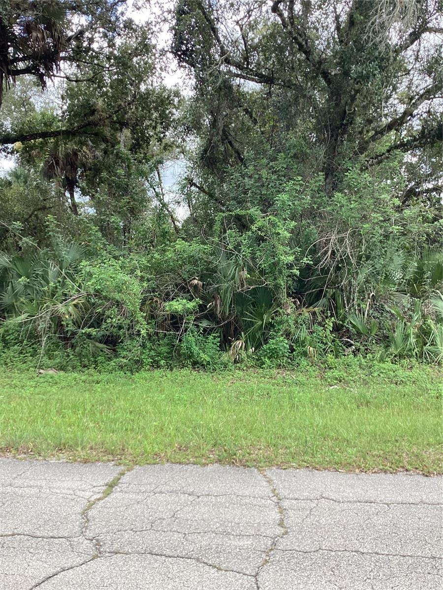 March Ln Property Photo 4