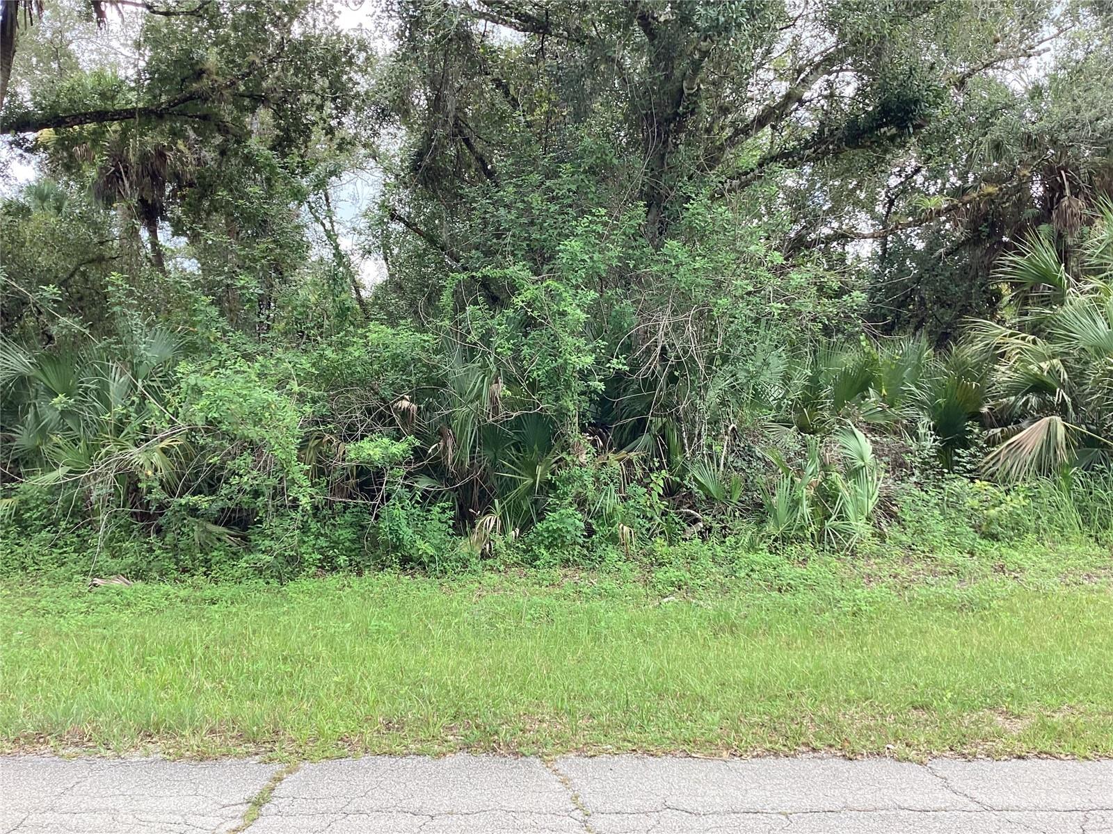 March Ln Property Photo 5