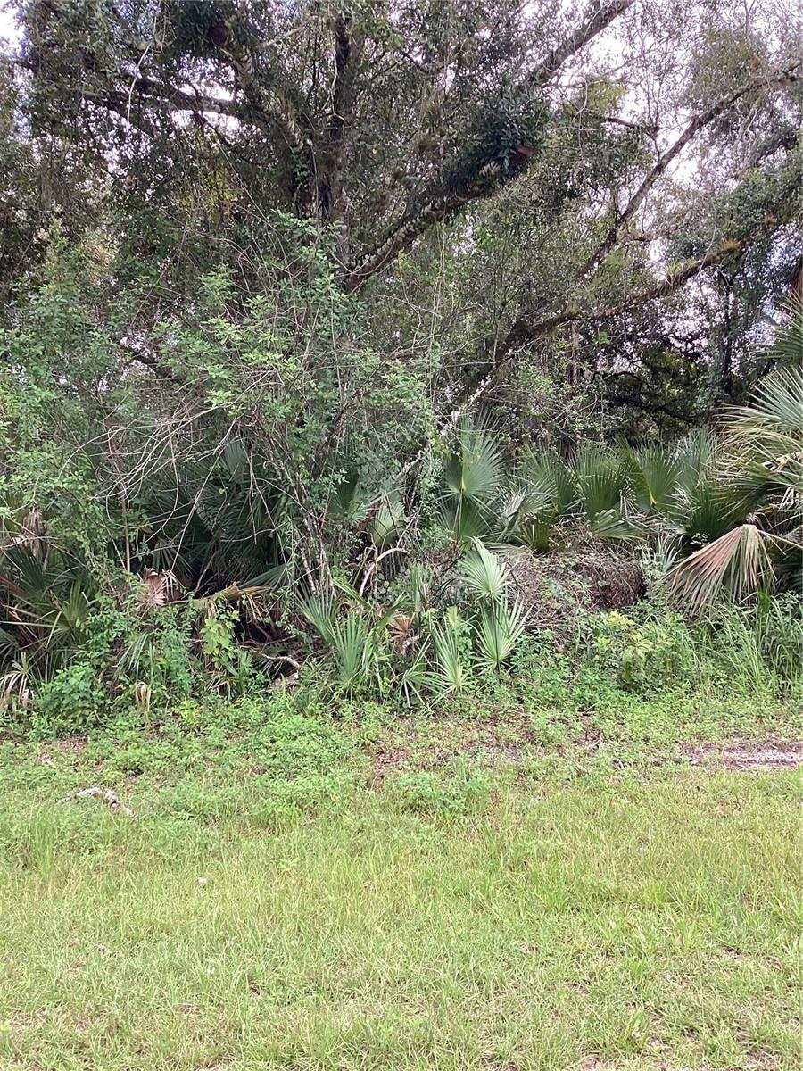 March Ln Property Photo 8