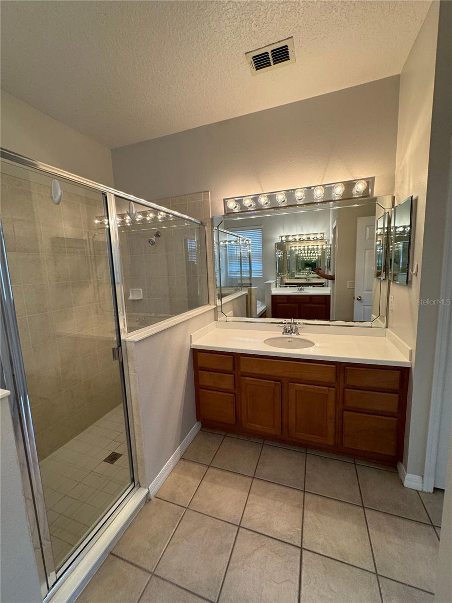 10360 Sandy Marsh Ln Property Photo 22