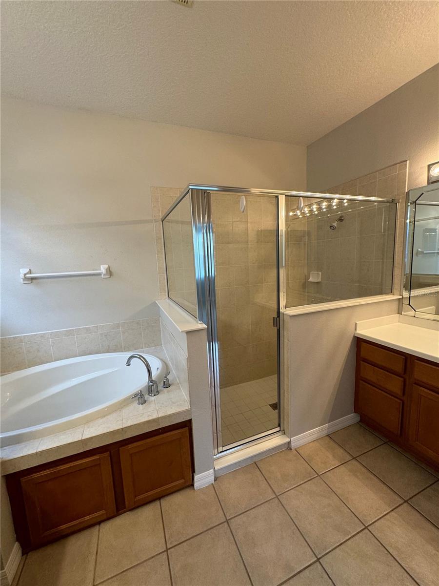 10360 Sandy Marsh Ln Property Photo 23