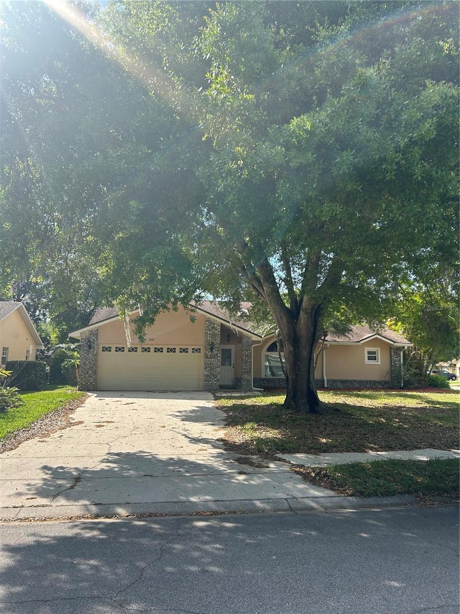 1181 Anne Elisa Cir Property Photo 24