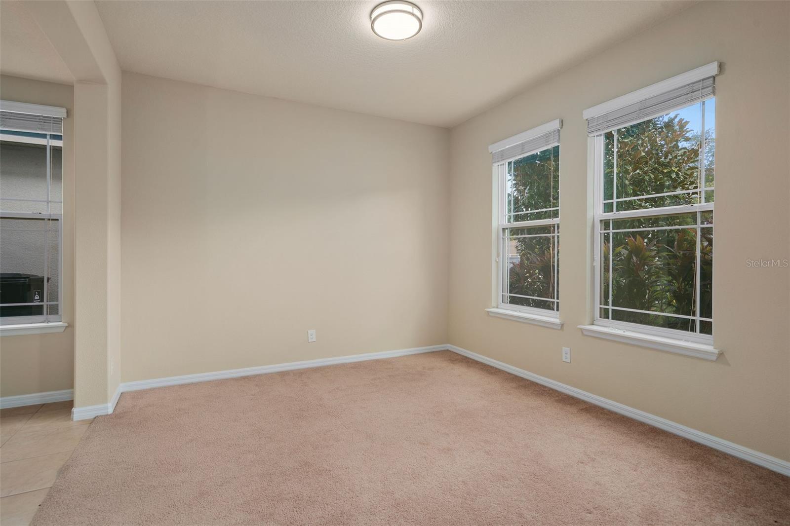 5177 Dove Tree St Property Photo 39