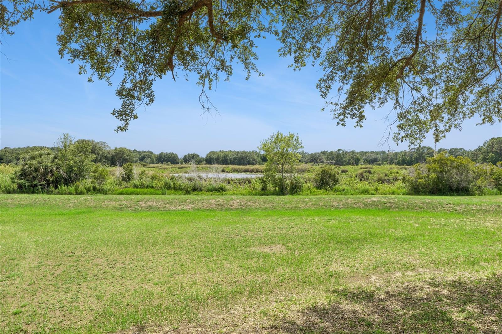 21325 Royal Troon Dr Property Photo 33