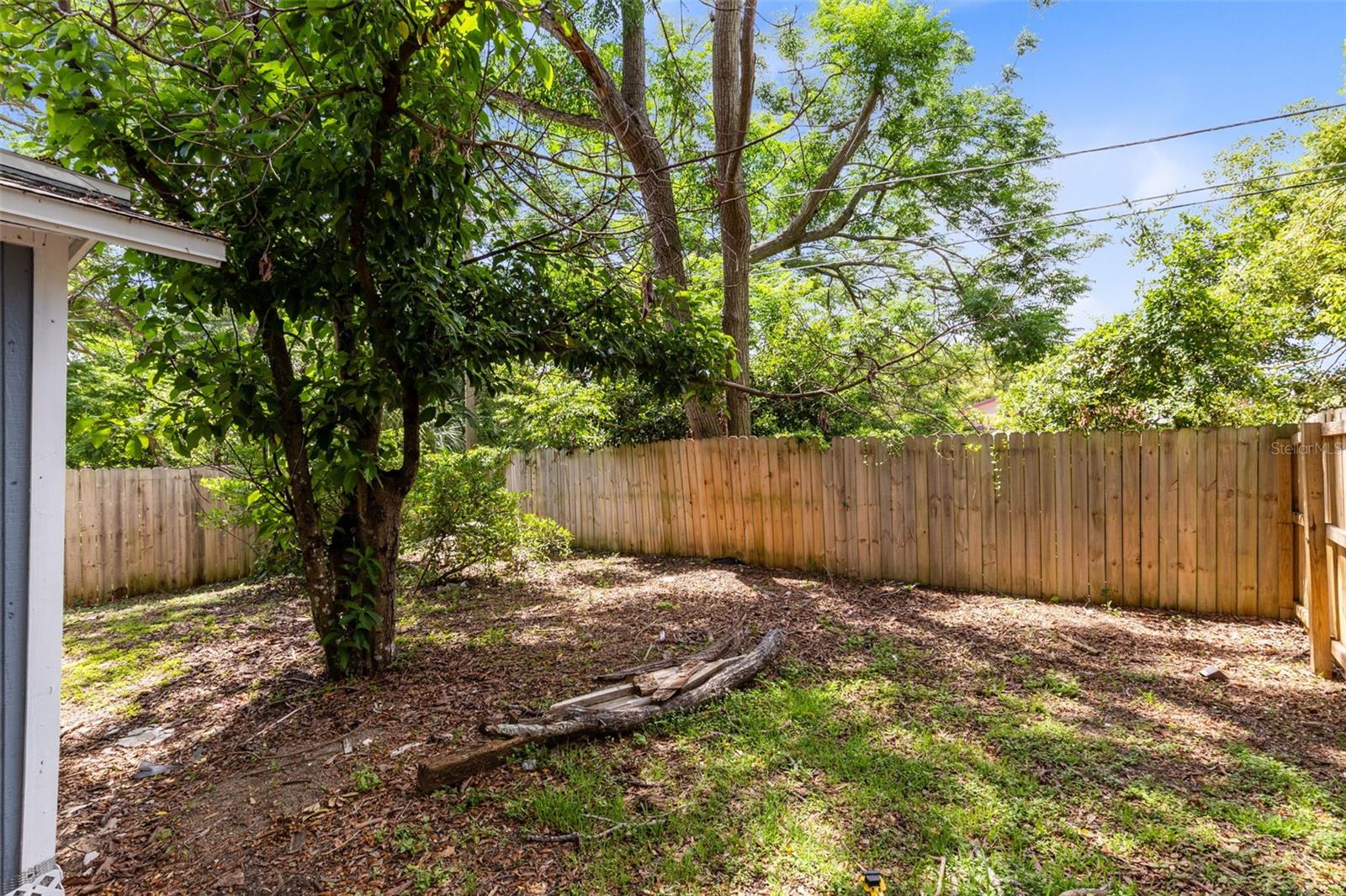 3432 Harry St Property Photo 4