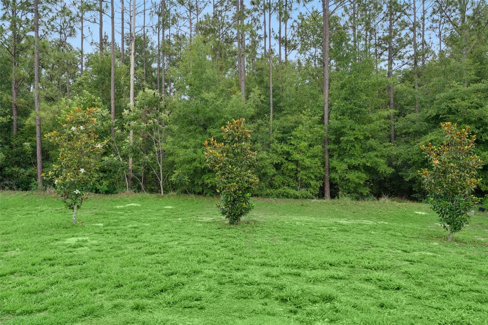 4810 Magnetite Loop Property Photo 19