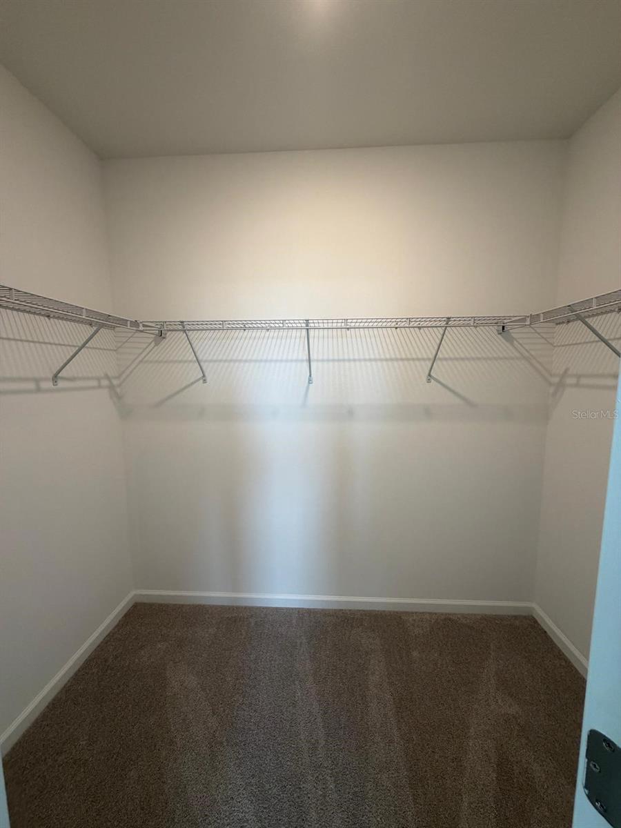 3106 Kurtz Ter Property Photo 17