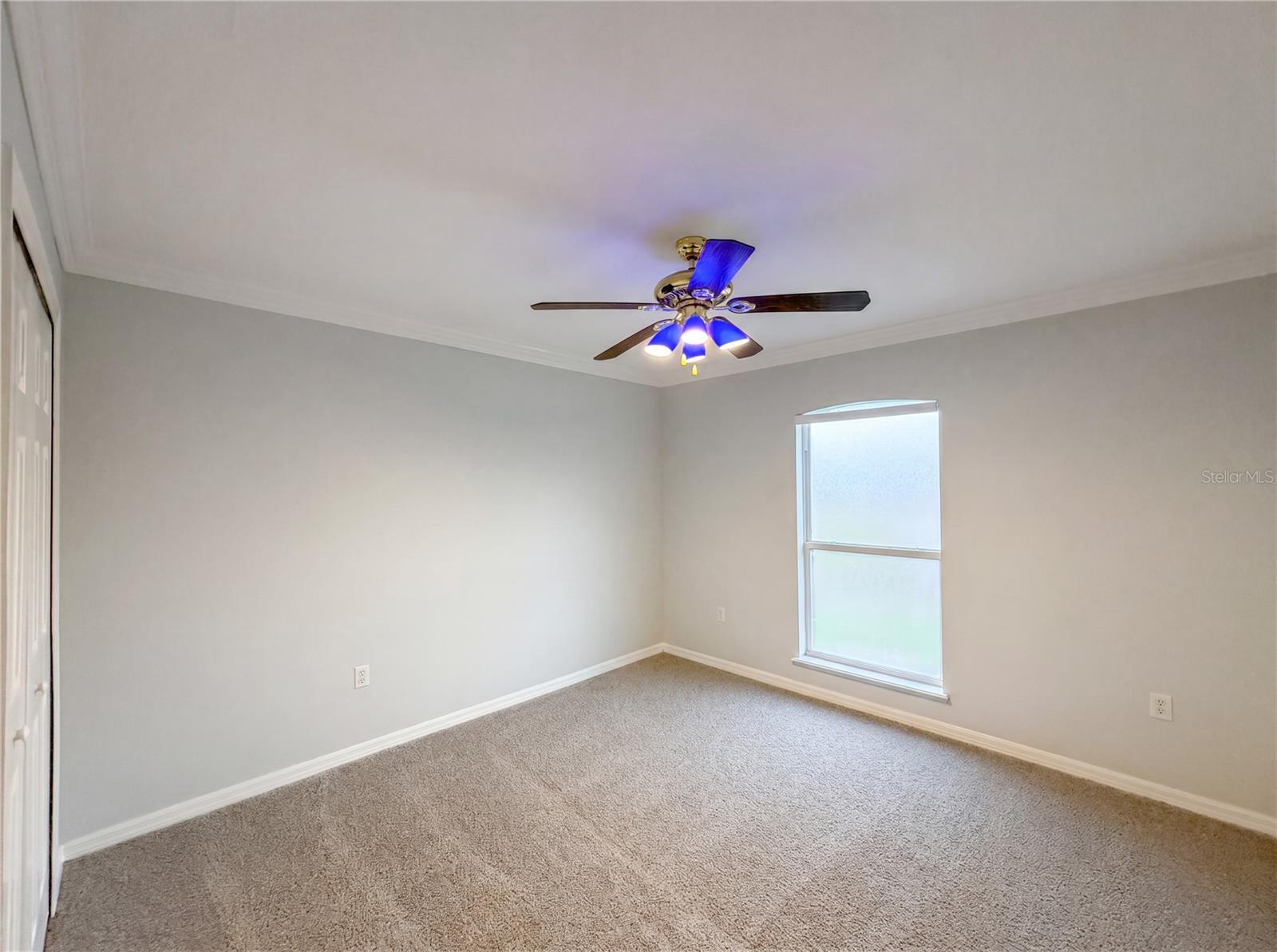 3312 White Blossom Ln Property Photo 18