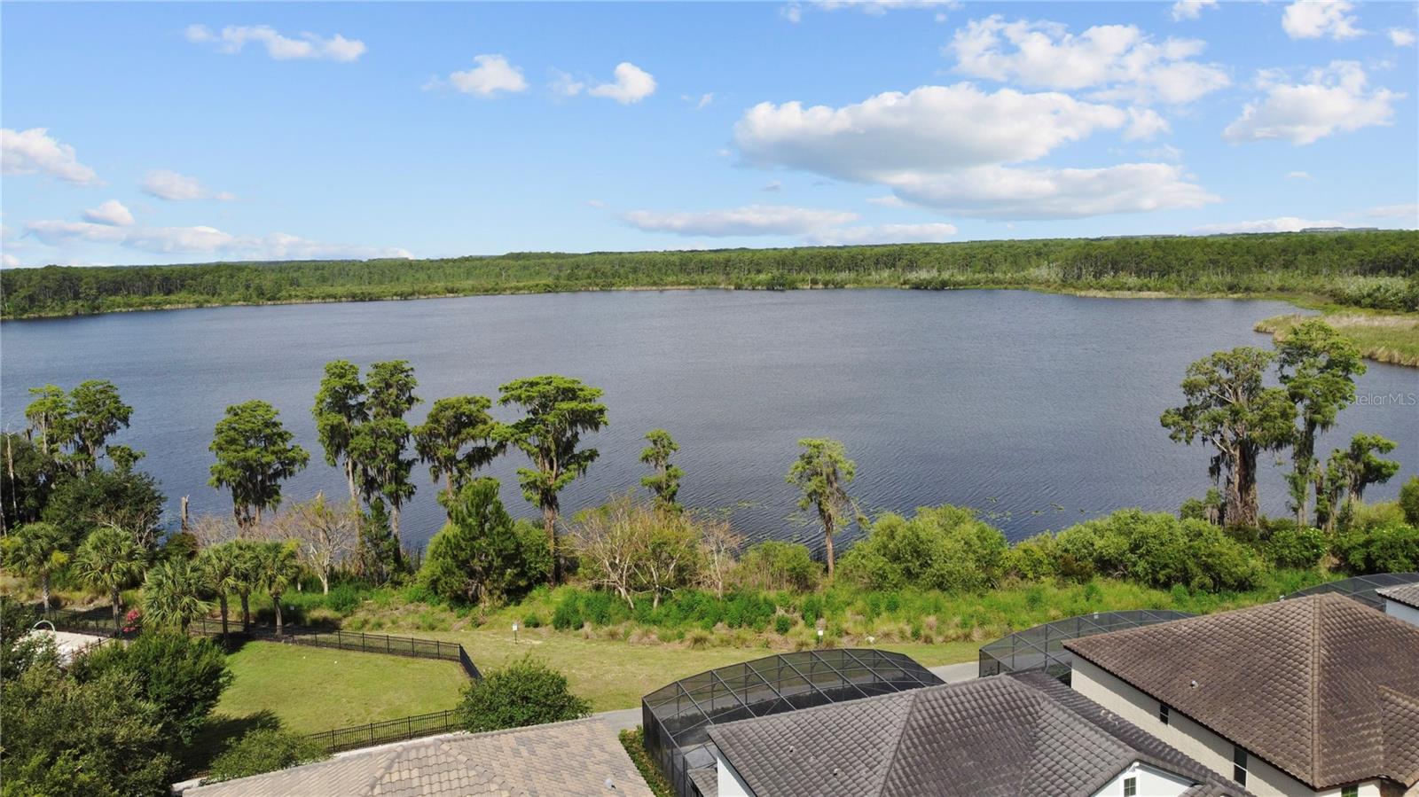 8394 Lookout Pointe Dr Property Photo 64