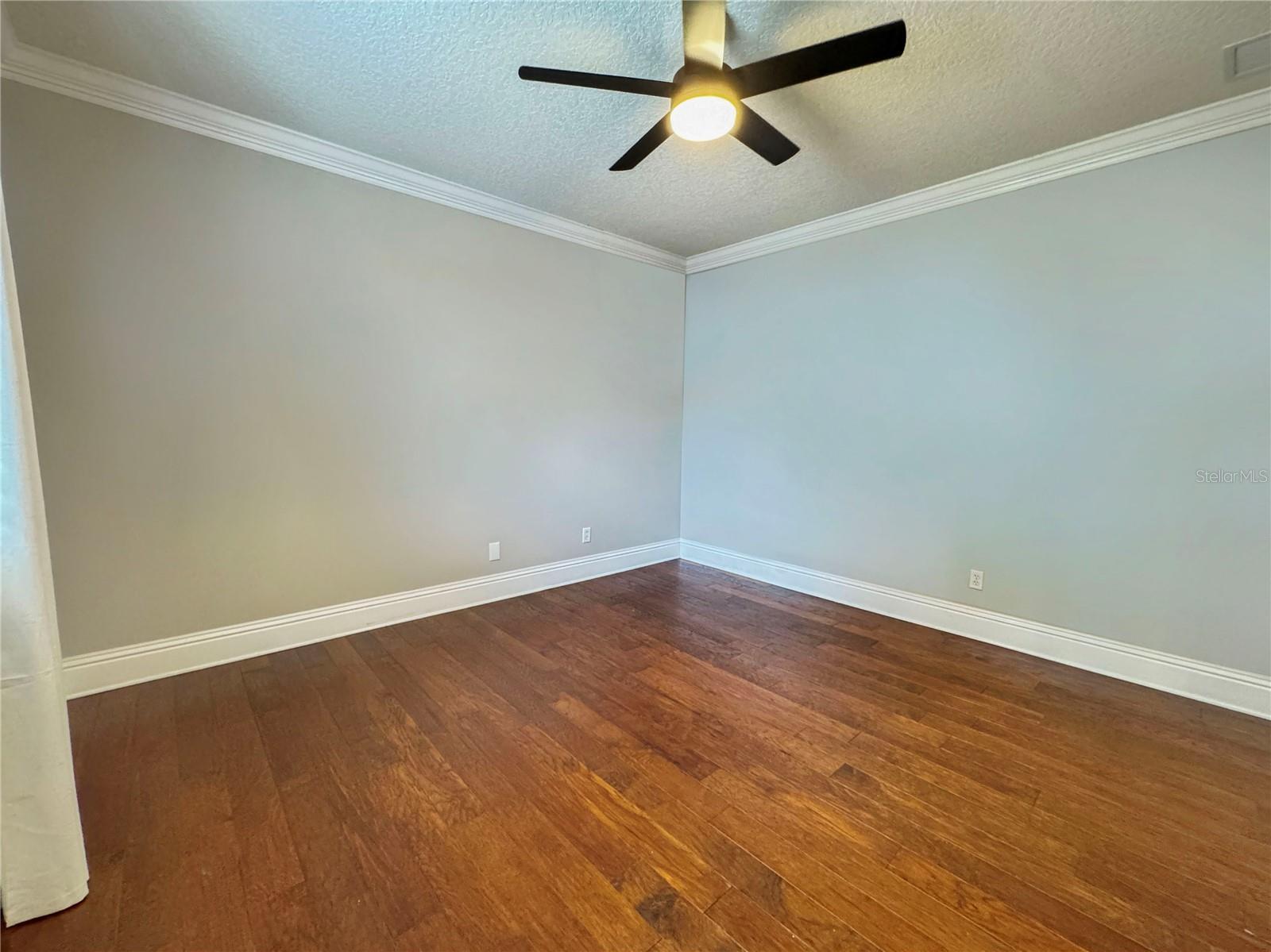 173 Calliope St Property Photo 49