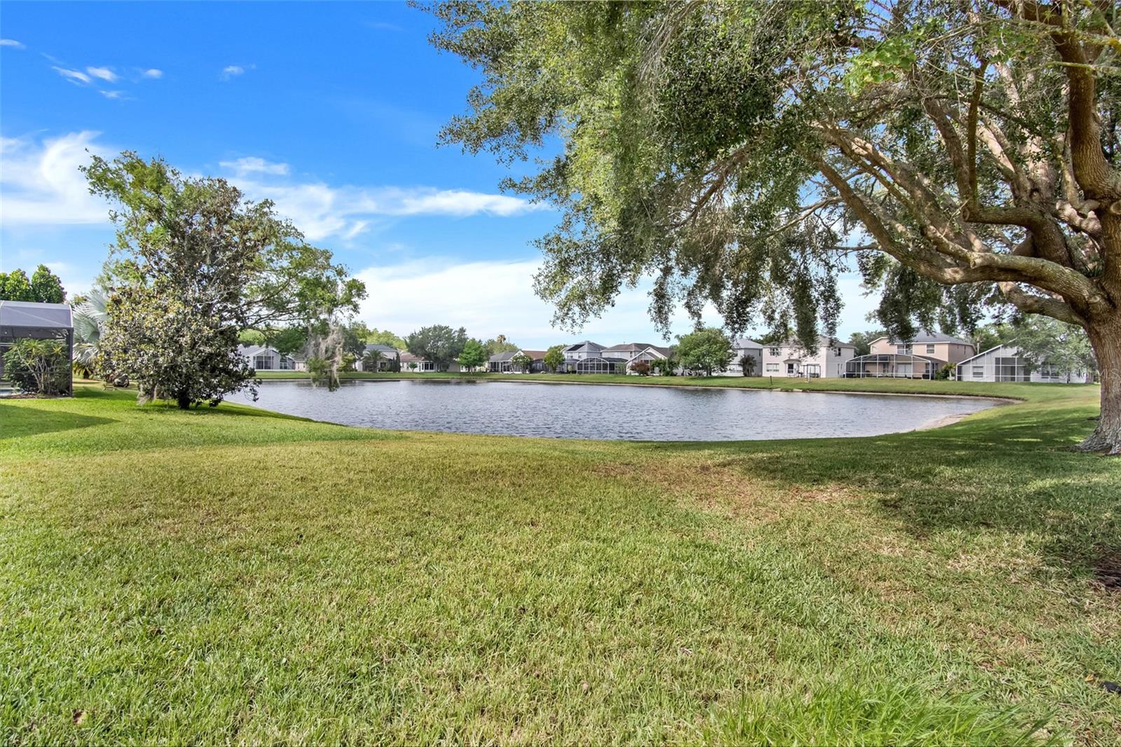 12661 Enclave Dr Property Photo 16