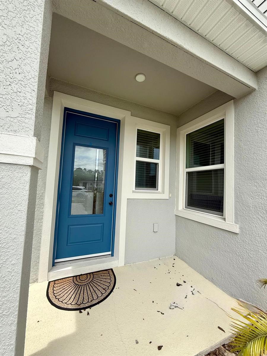 16522 Brook Isle Way Property Photo 3
