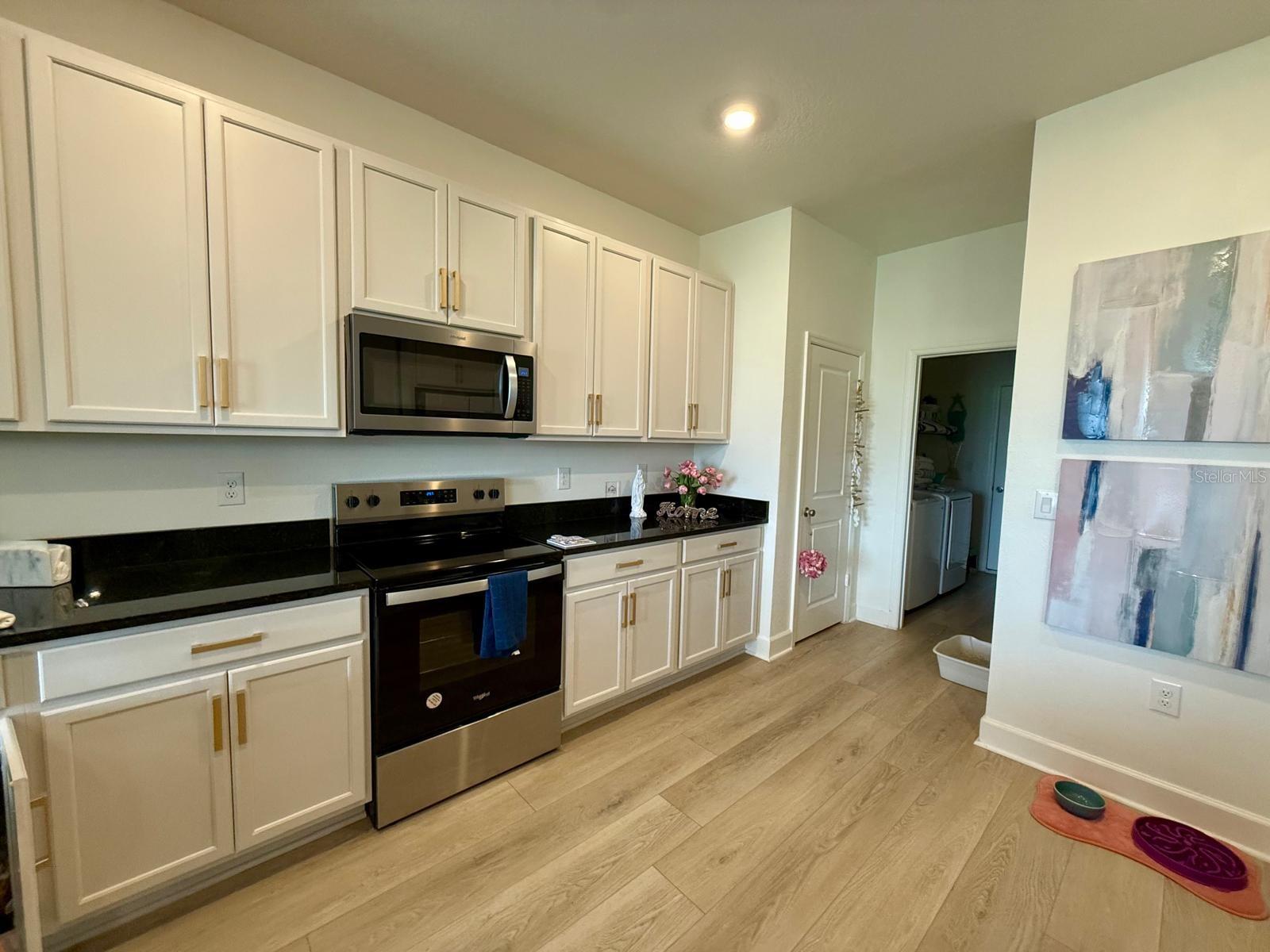 16522 Brook Isle Way Property Photo 5