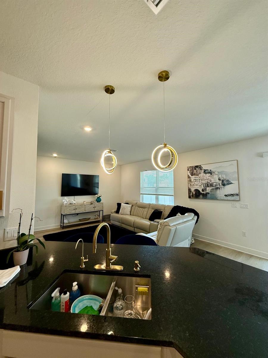 16522 Brook Isle Way Property Photo 6