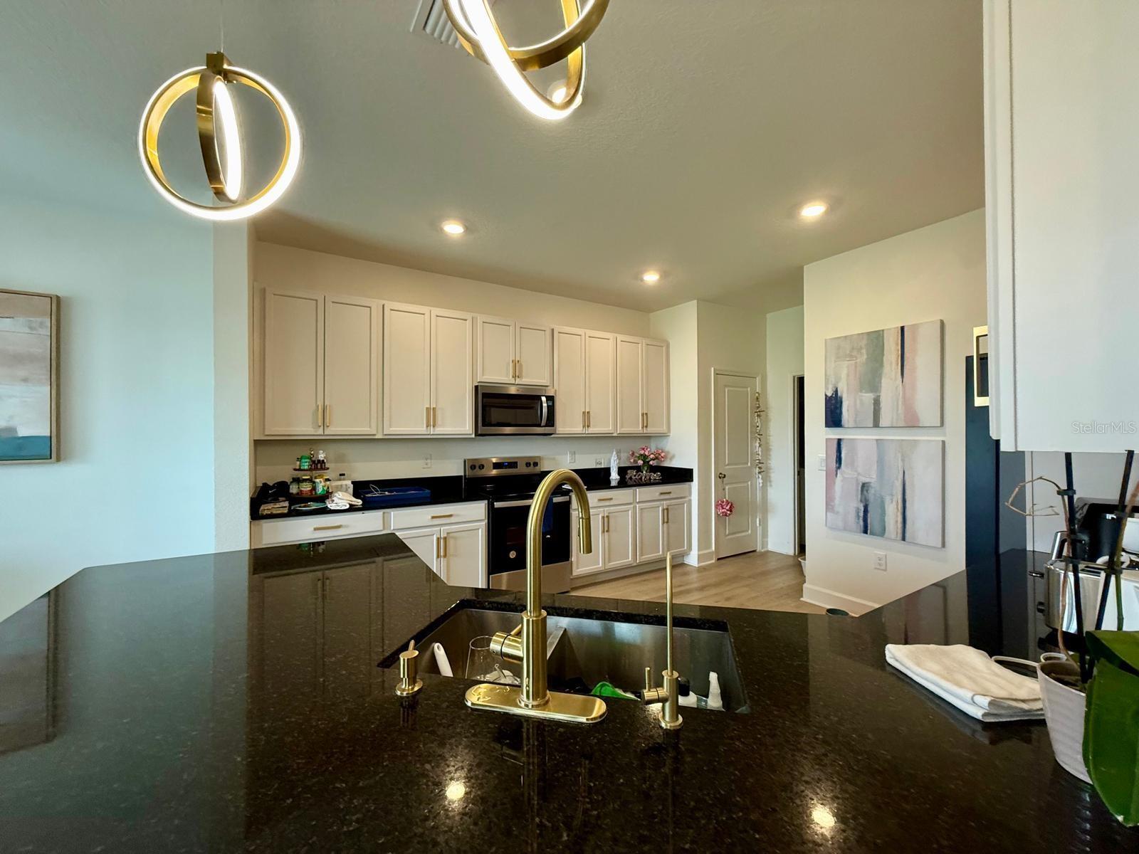 16522 Brook Isle Way Property Photo 11