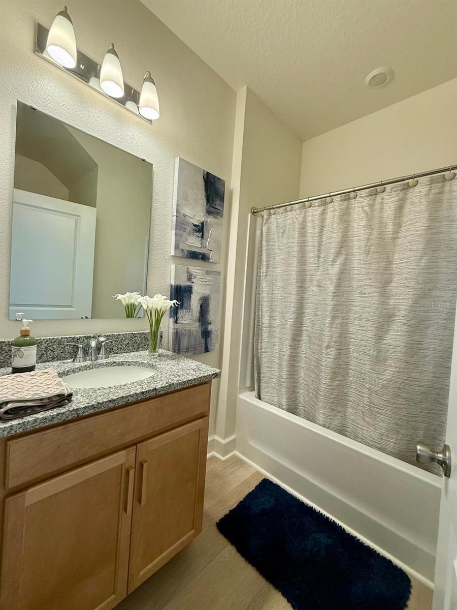 16522 Brook Isle Way Property Photo 15