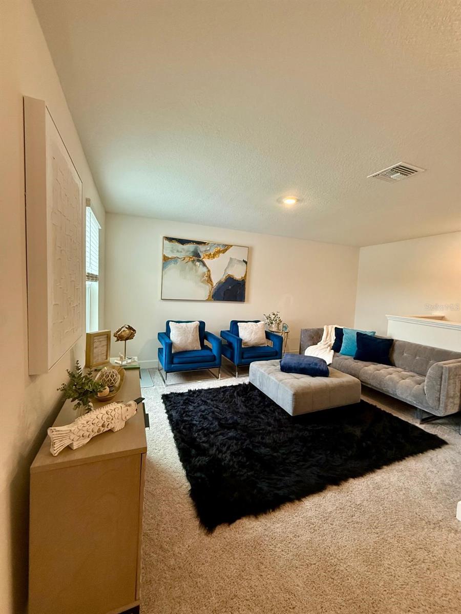 16522 Brook Isle Way Property Photo 21