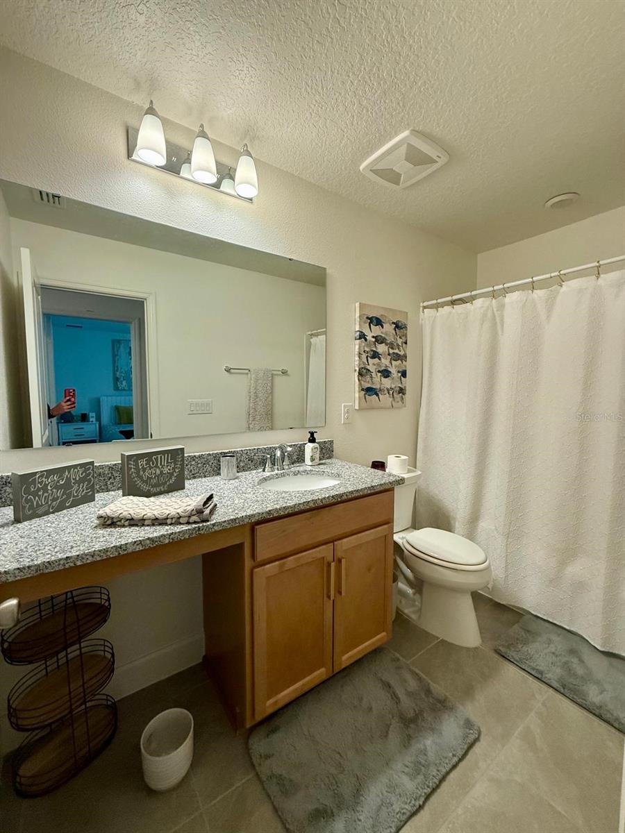 16522 Brook Isle Way Property Photo 22