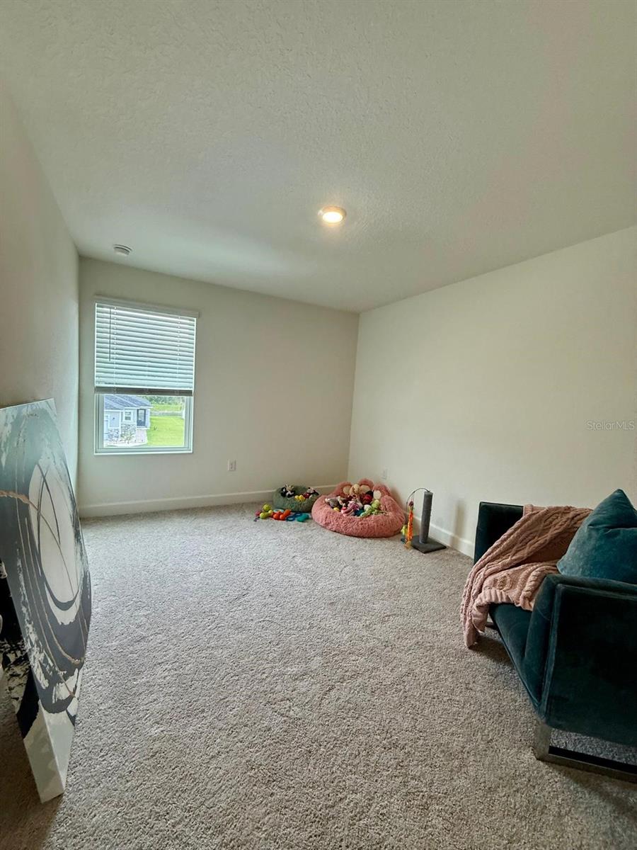 16522 Brook Isle Way Property Photo 25