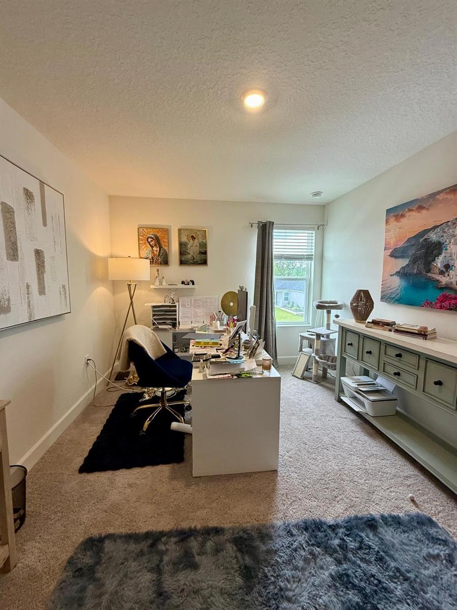 16522 Brook Isle Way Property Photo 26