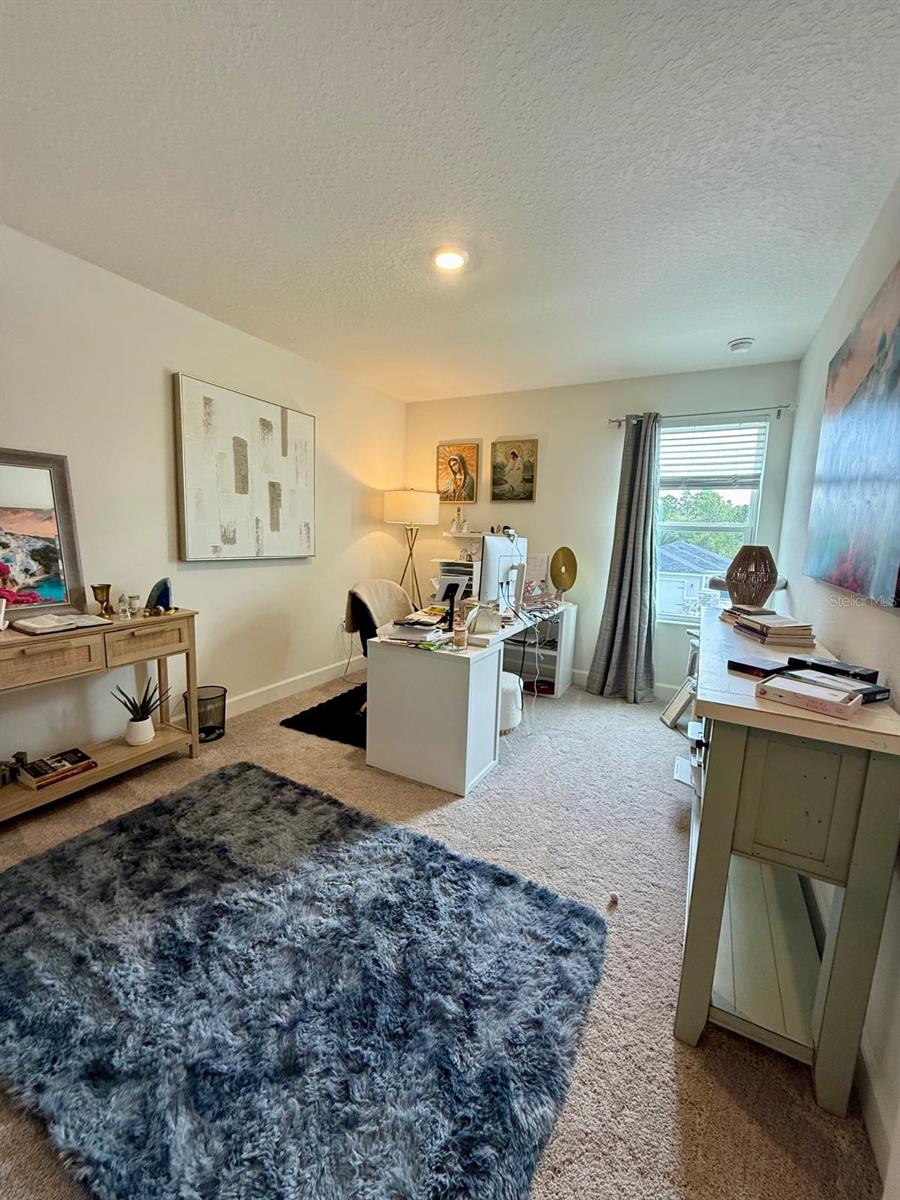 16522 Brook Isle Way Property Photo 27