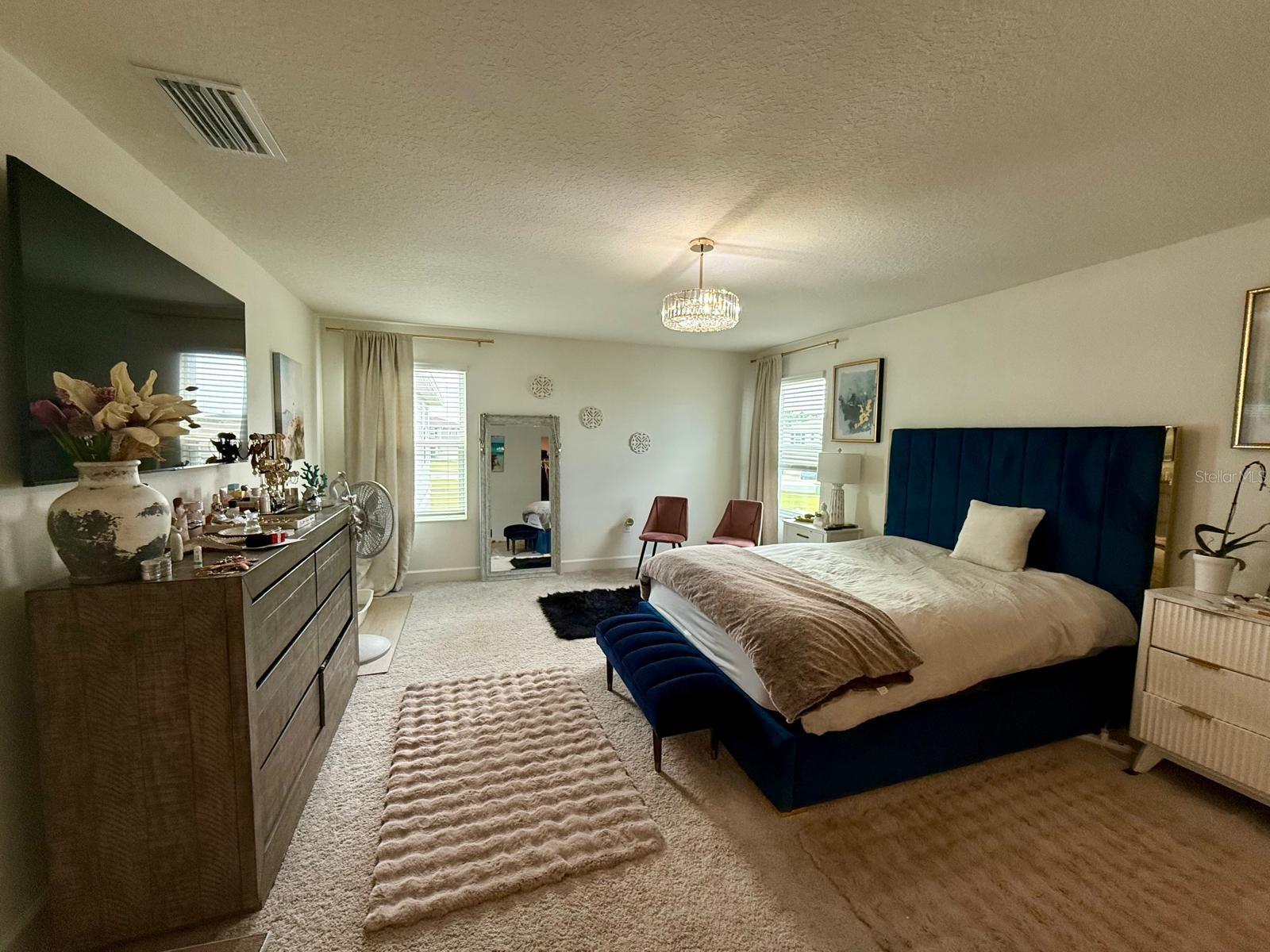 16522 Brook Isle Way Property Photo 28