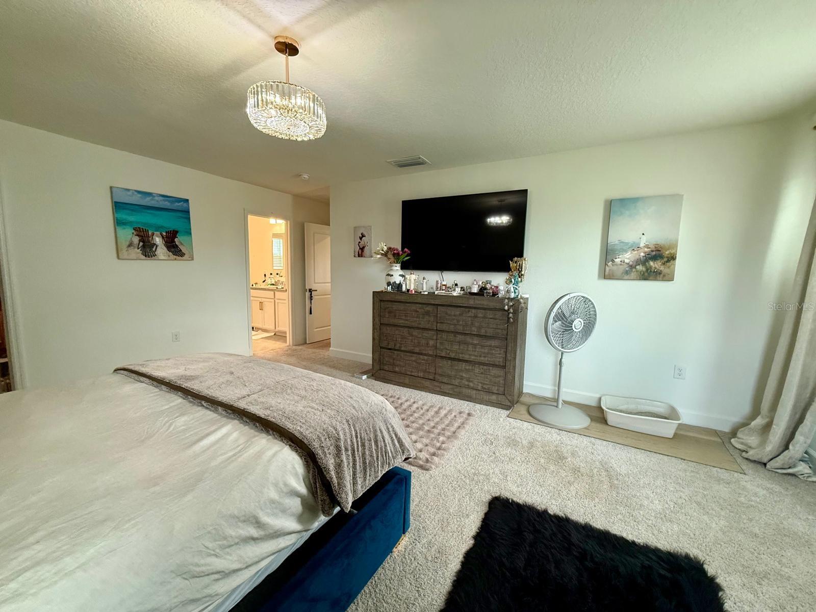 16522 Brook Isle Way Property Photo 33