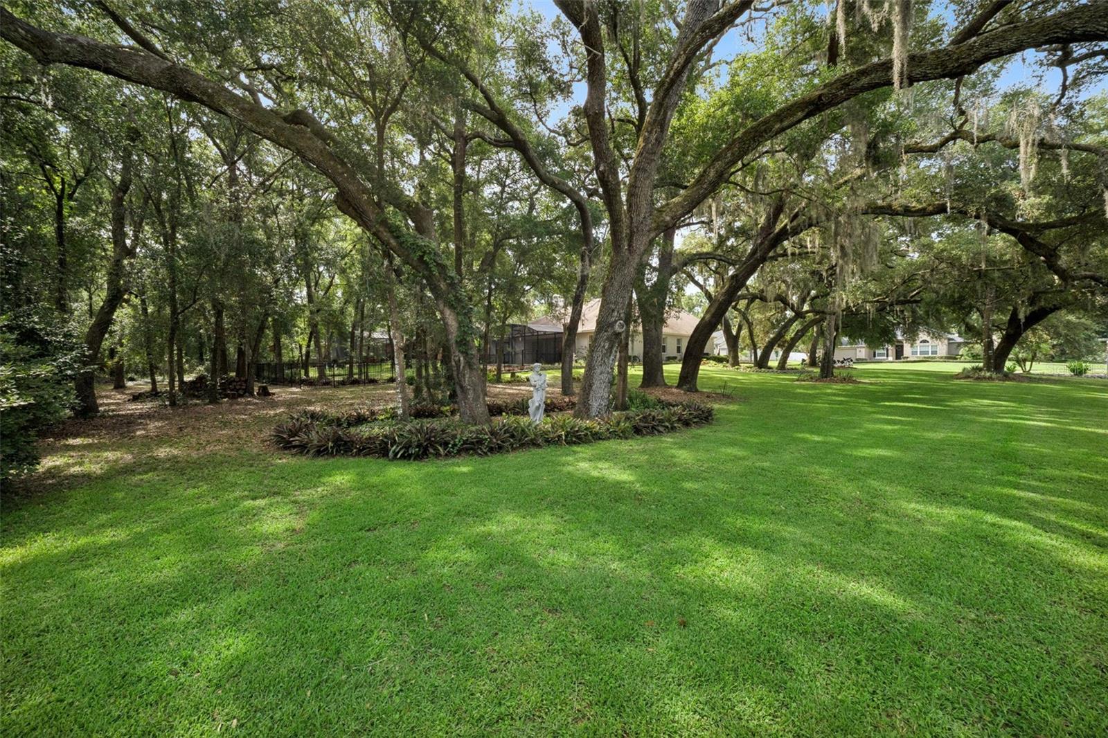 597 Sand Wedge Loop Property Photo 2