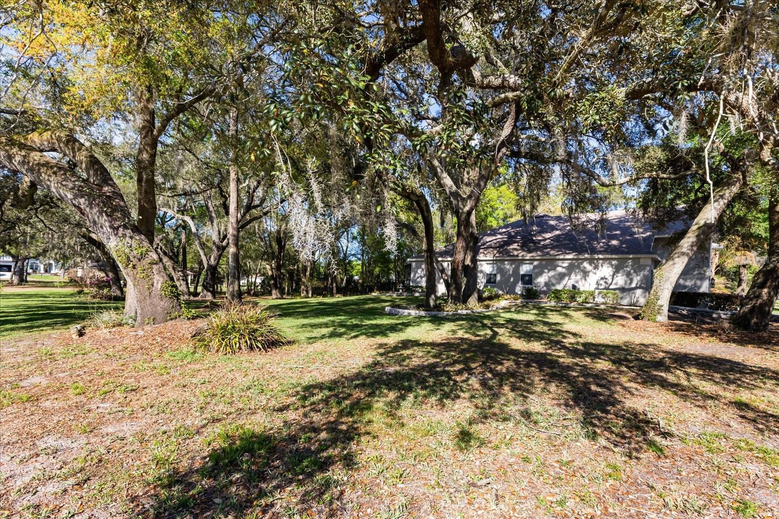 597 Sand Wedge Loop Property Photo 29