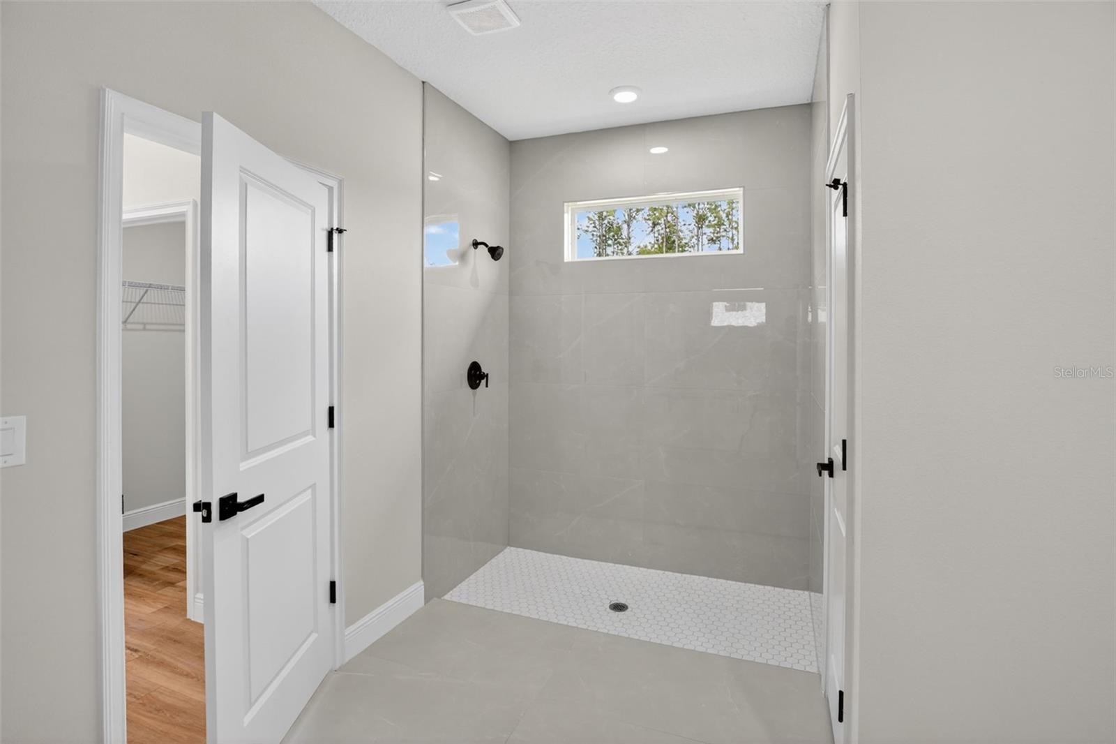 8135 N Tiny Lily Dr Property Photo 6