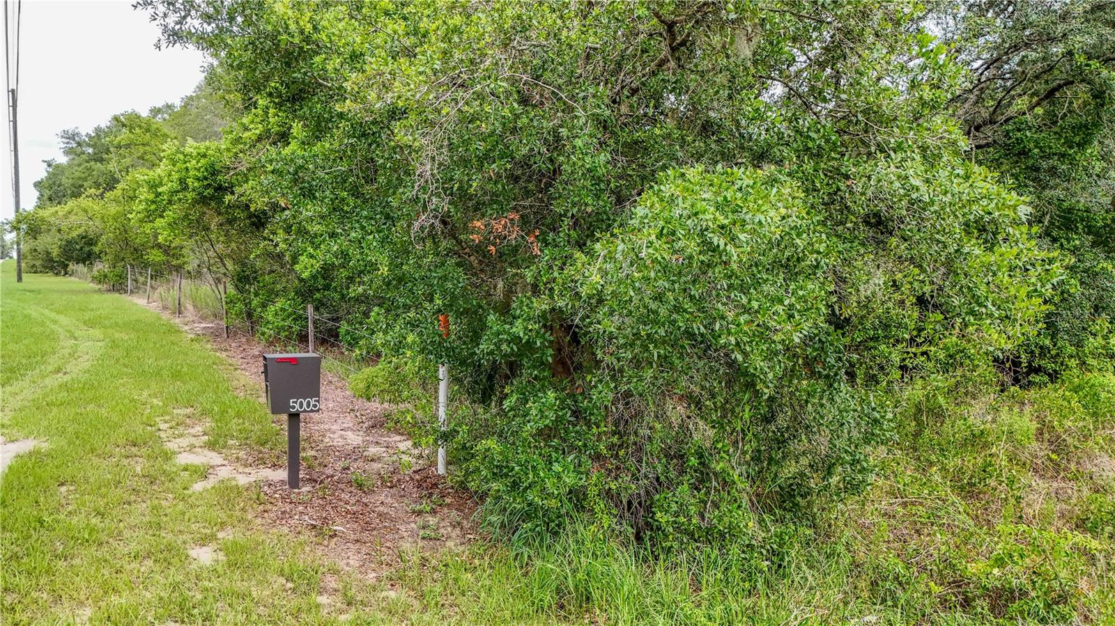 5501 Cemetery & Sadler Rds Property Photo 14