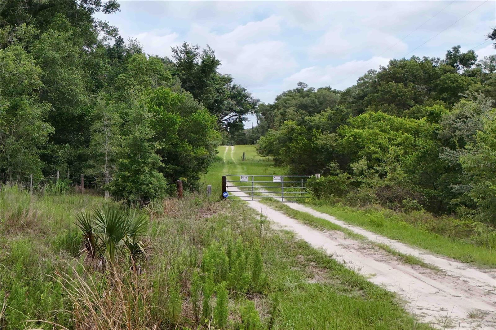 5501 Cemetery & Sadler Rds Property Photo 16