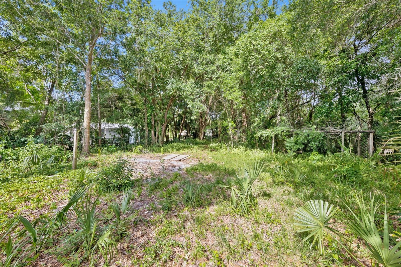 1318 Coletta Dr Property Photo 3