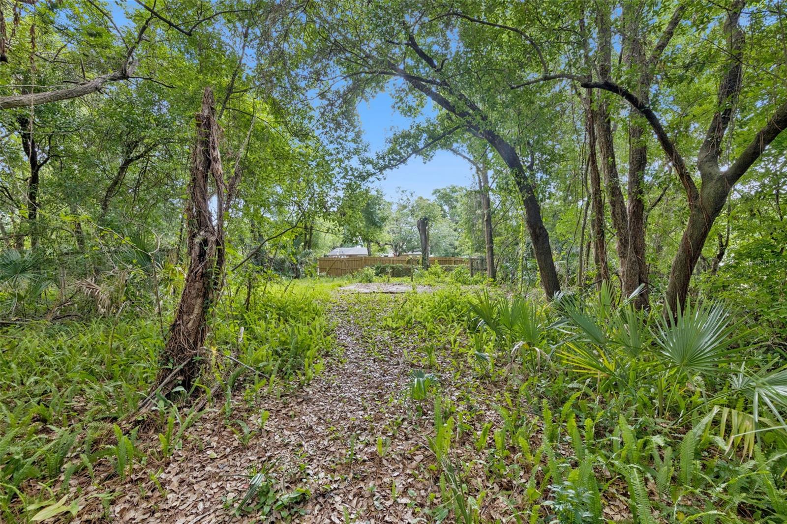 1318 Coletta Dr Property Photo 4