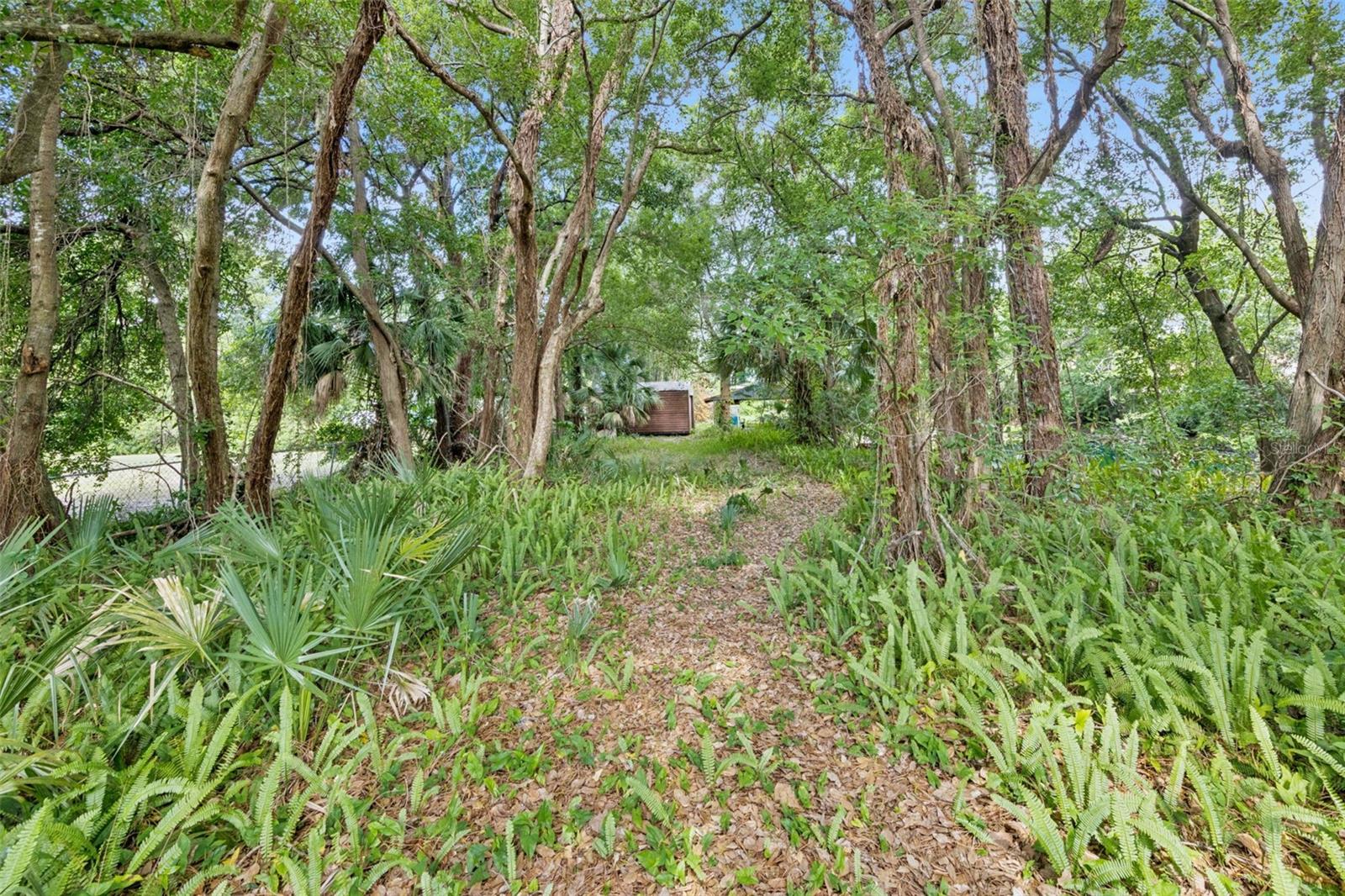 1318 Coletta Dr Property Photo 5