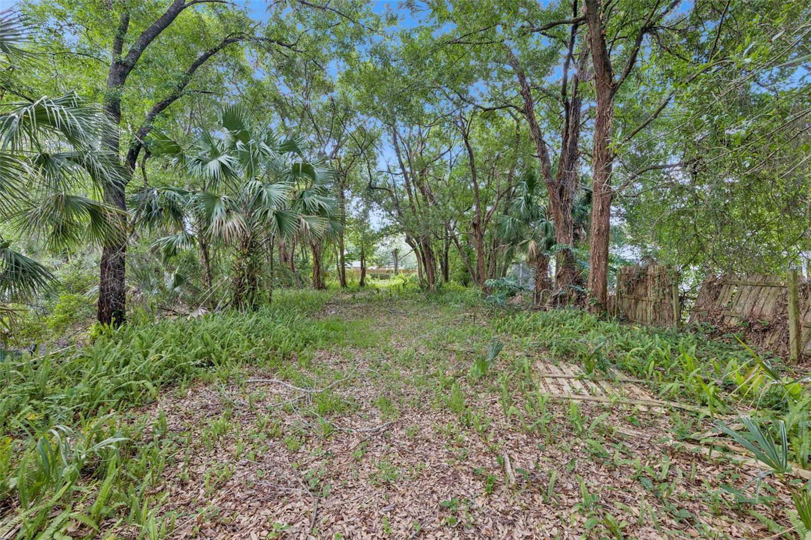 1318 Coletta Dr Property Photo 6