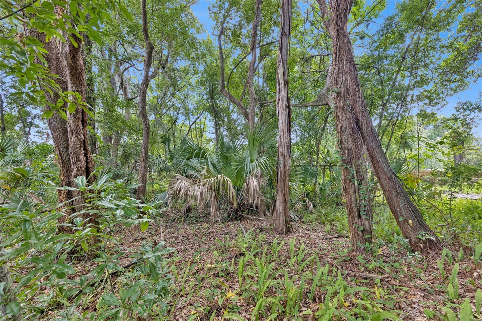 1318 Coletta Dr Property Photo 8