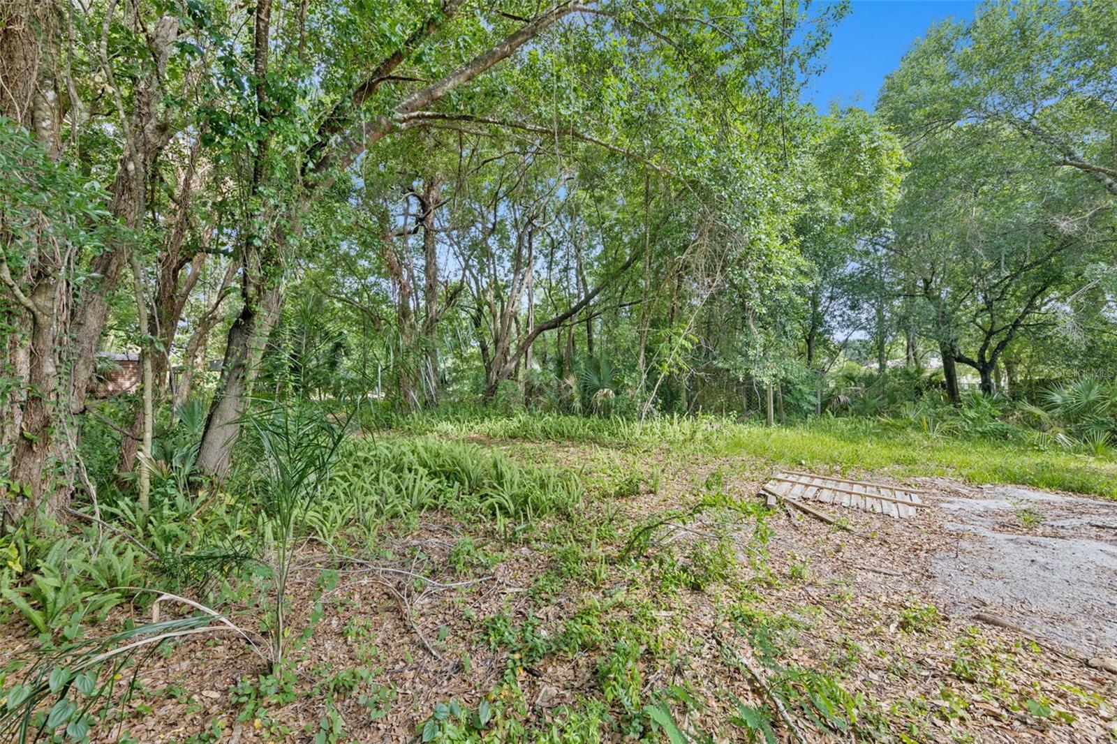 1318 Coletta Dr Property Photo 9