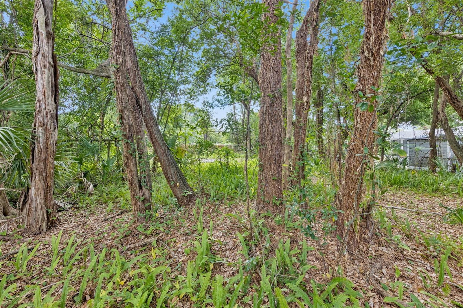 1318 Coletta Dr Property Photo 10