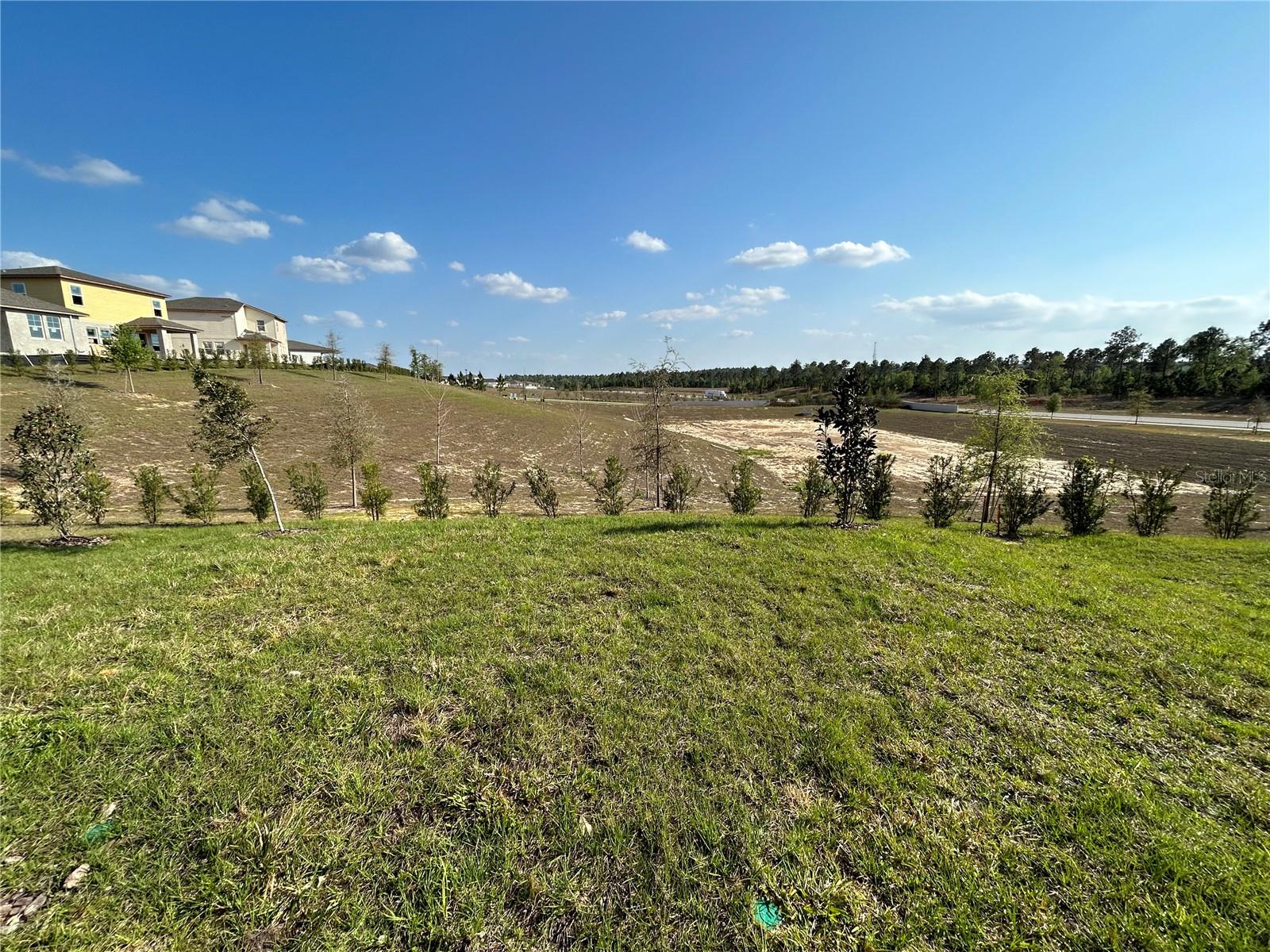 2249 Mystic Maze Ln Property Photo 33