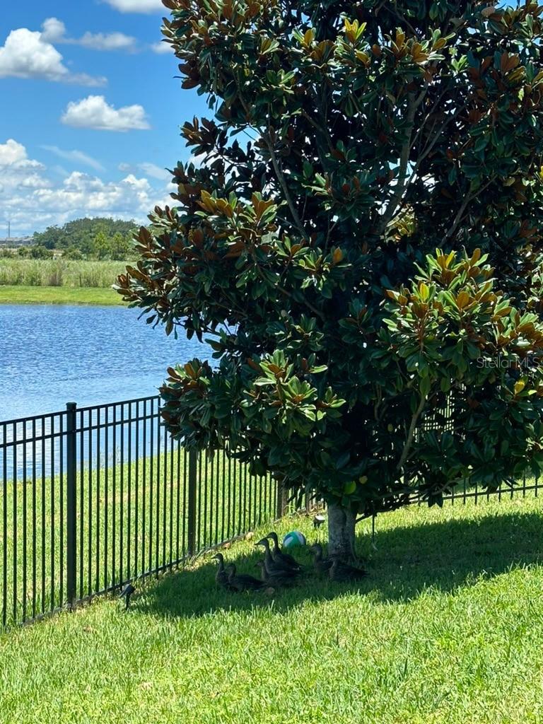 11819 Imaginary Way Property Photo 42