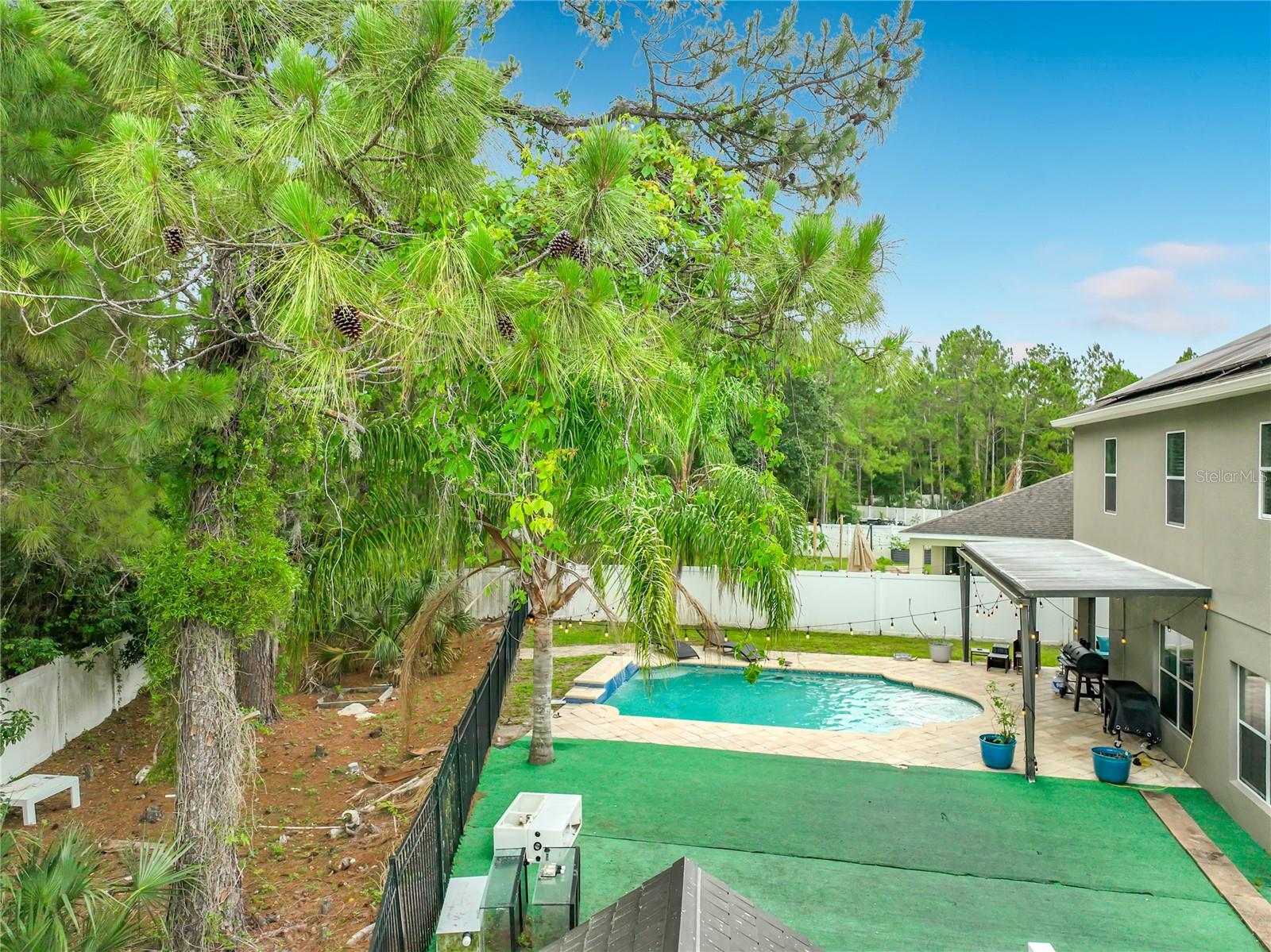10672 Cabbage Tree Loop Property Photo 76