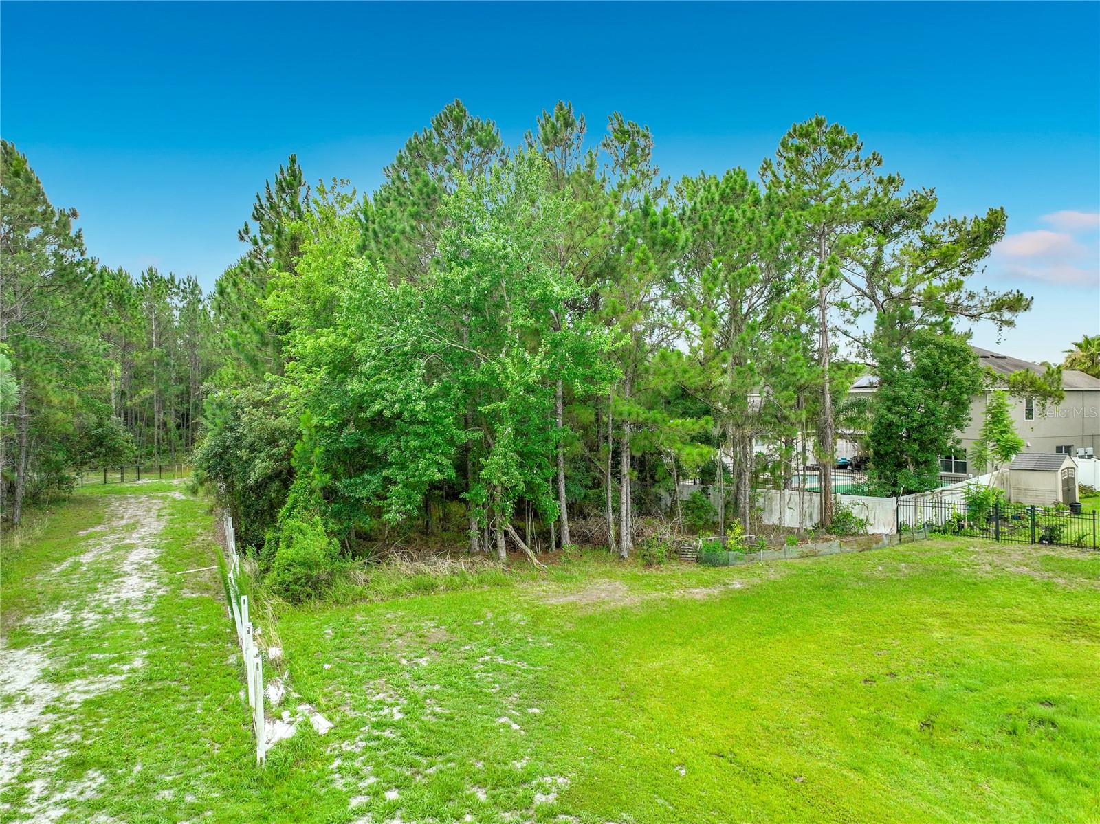 10672 Cabbage Tree Loop Property Photo 77