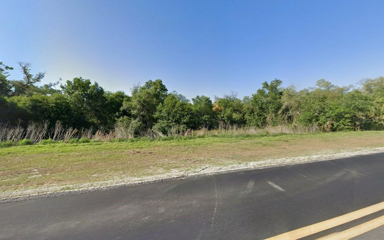 16213 Hillsborough Blvd Property Photo 5