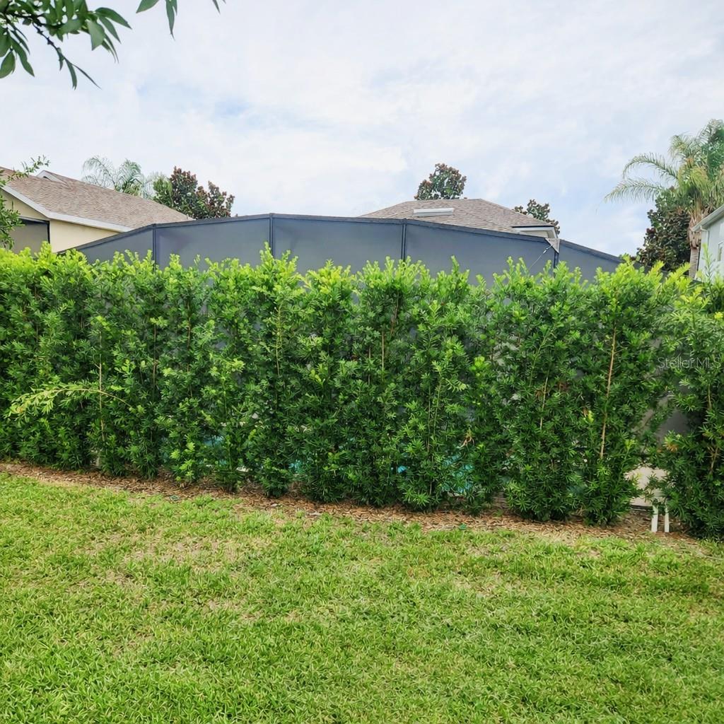 O6413930 Property Photo 43