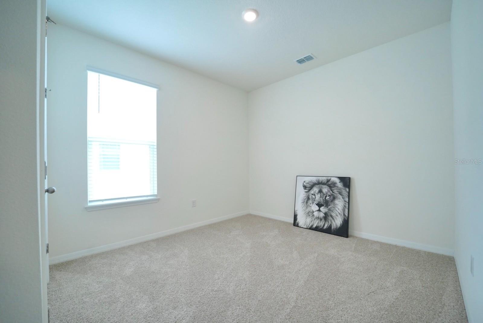 6946 Audobon Osprey Cv Property Photo 16