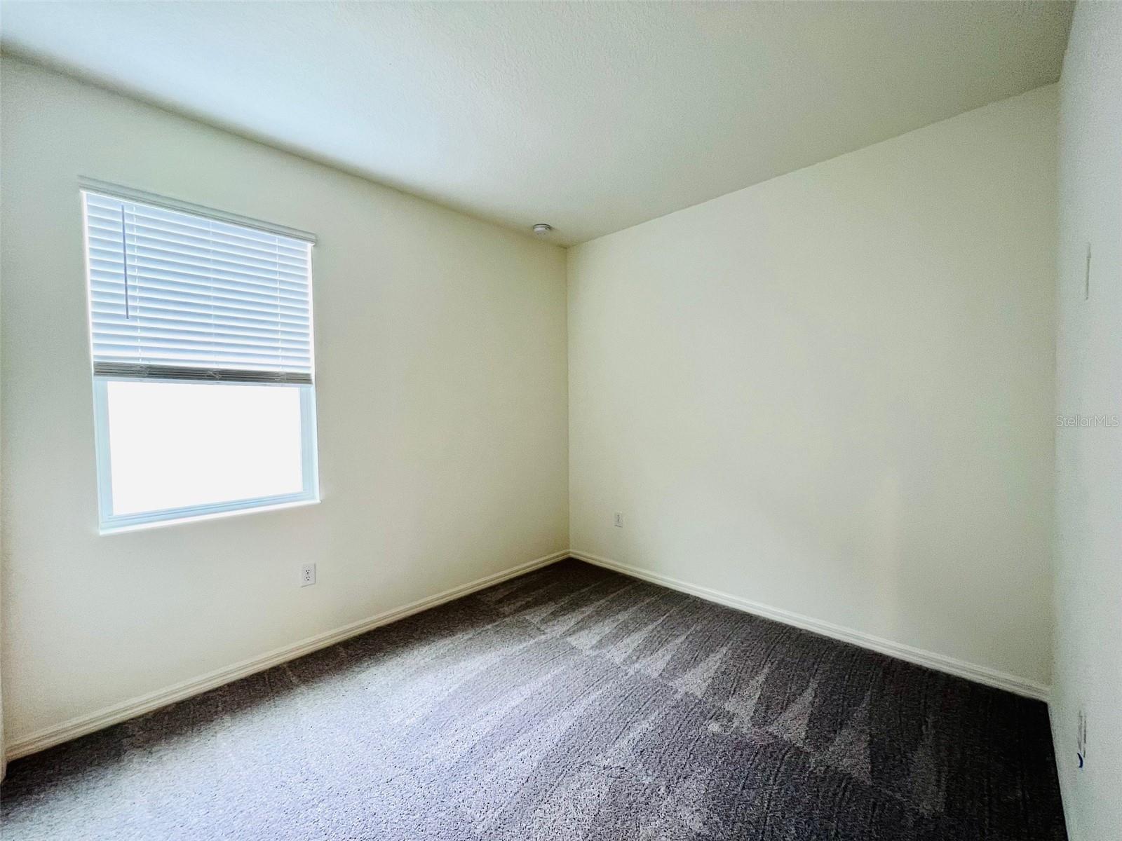 16365 Winding Preserve Cir Property Photo 11