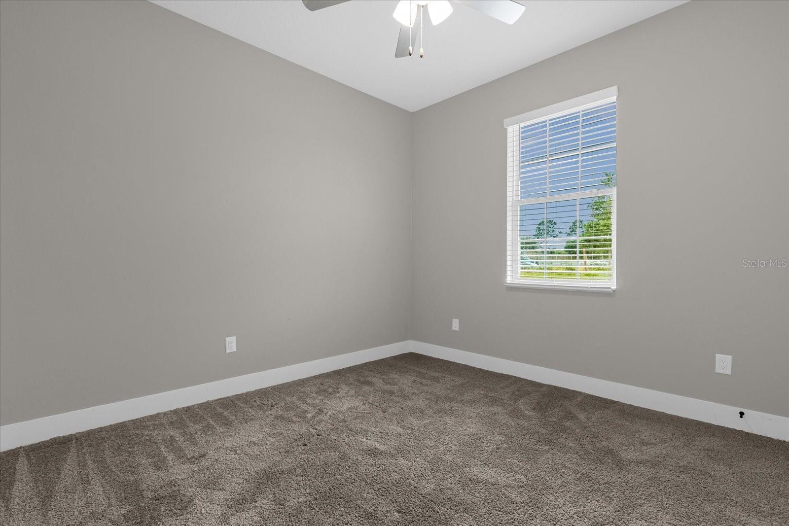 7962 Rumney Ln Property Photo 17