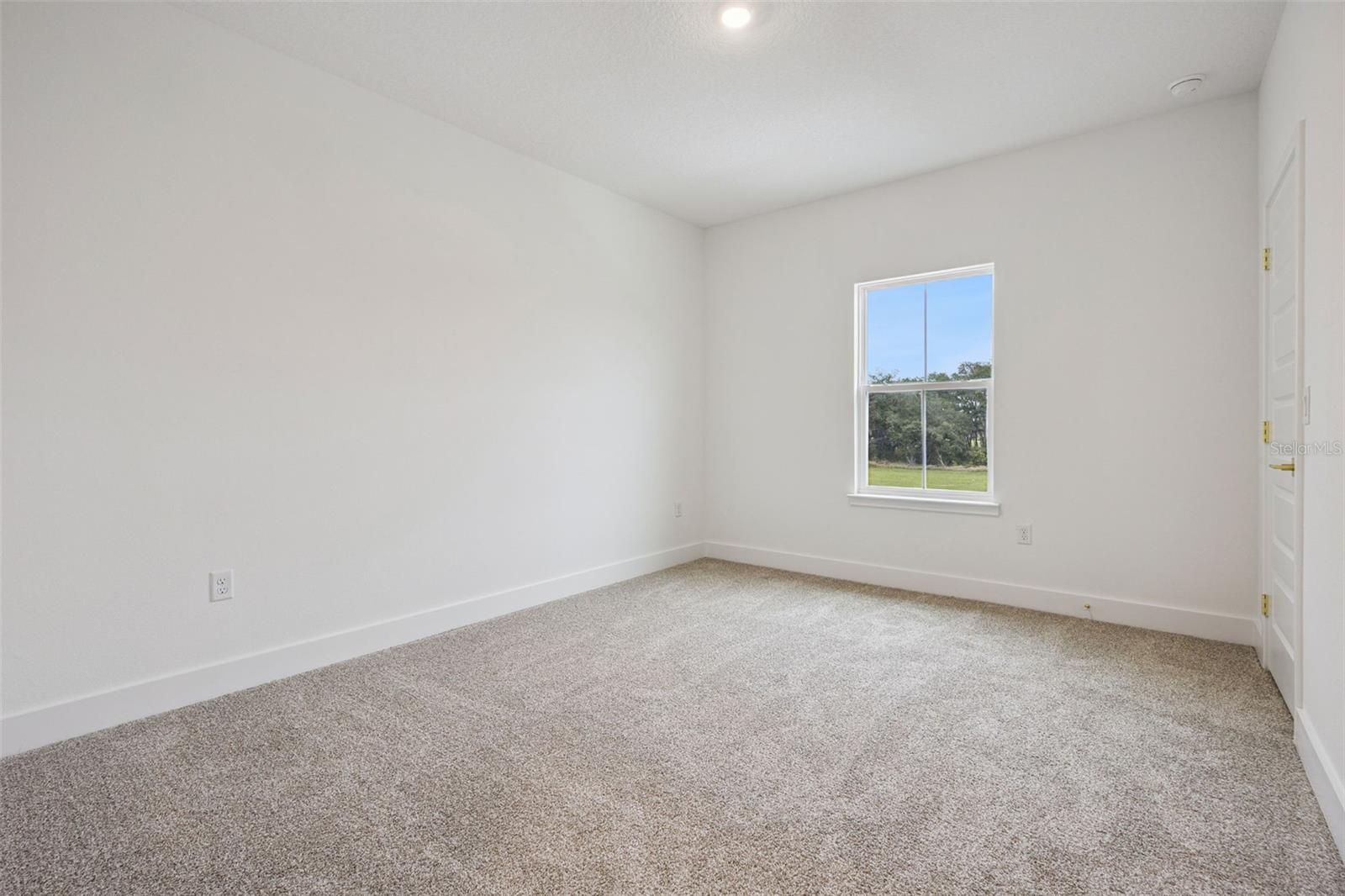 17434 Honeybell Tangelo Ct Property Photo 18